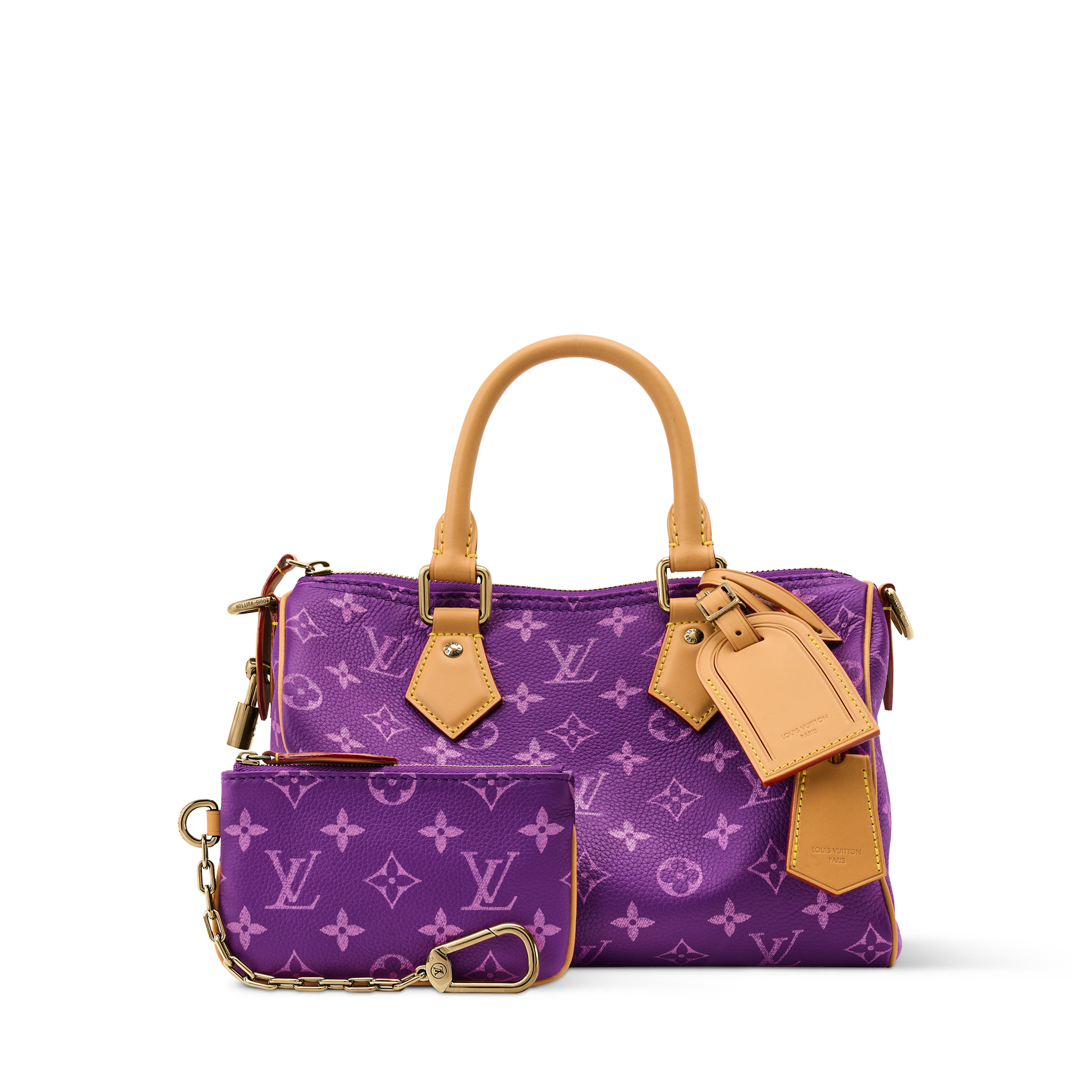 Speedy P9 Bandoulière 25 H40 - Les Extraordinaires - Leather Goods
